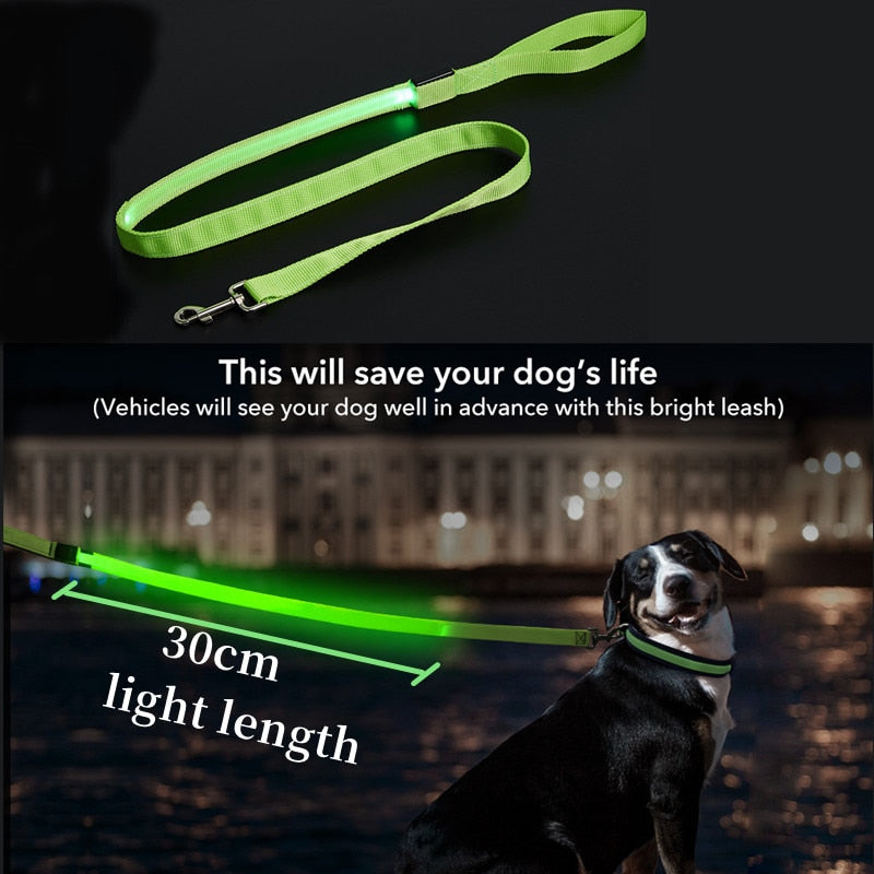 Rechargeable LED Nylon leash