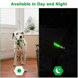 Rechargeable LED collar