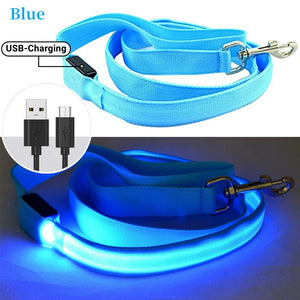 Rechargeable LED Nylon leash