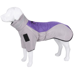 High collar Big Dog winter coat