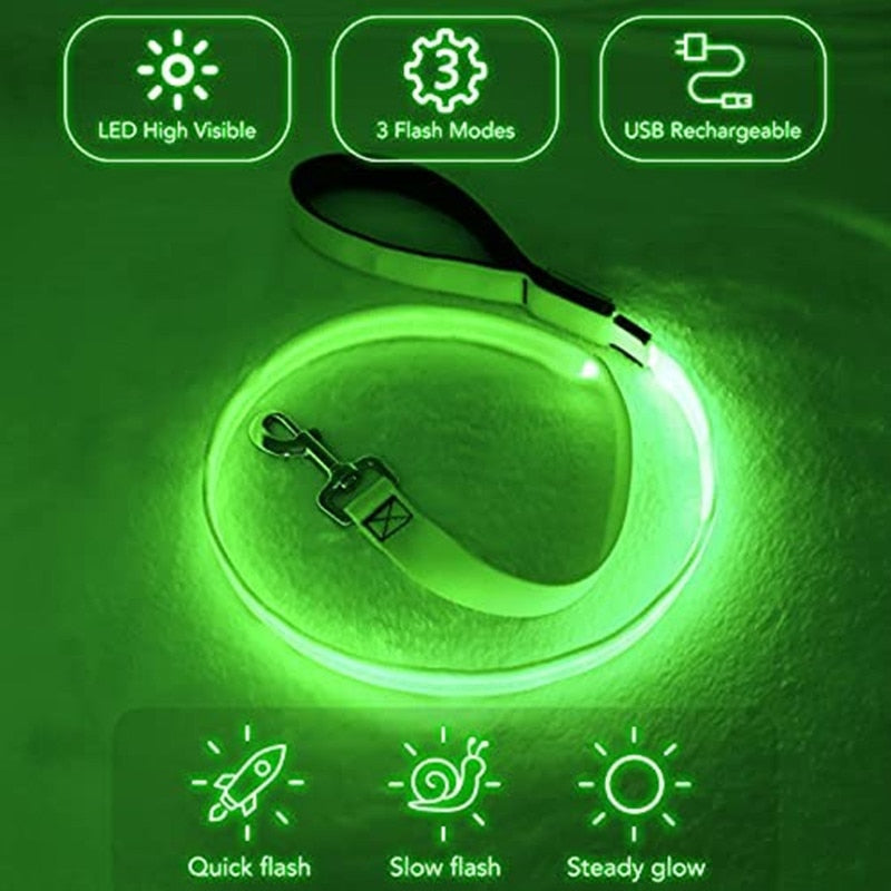 Rechargeable LED Nylon leash