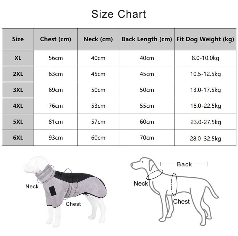 High collar Big Dog winter coat