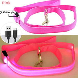 Rechargeable LED Nylon leash