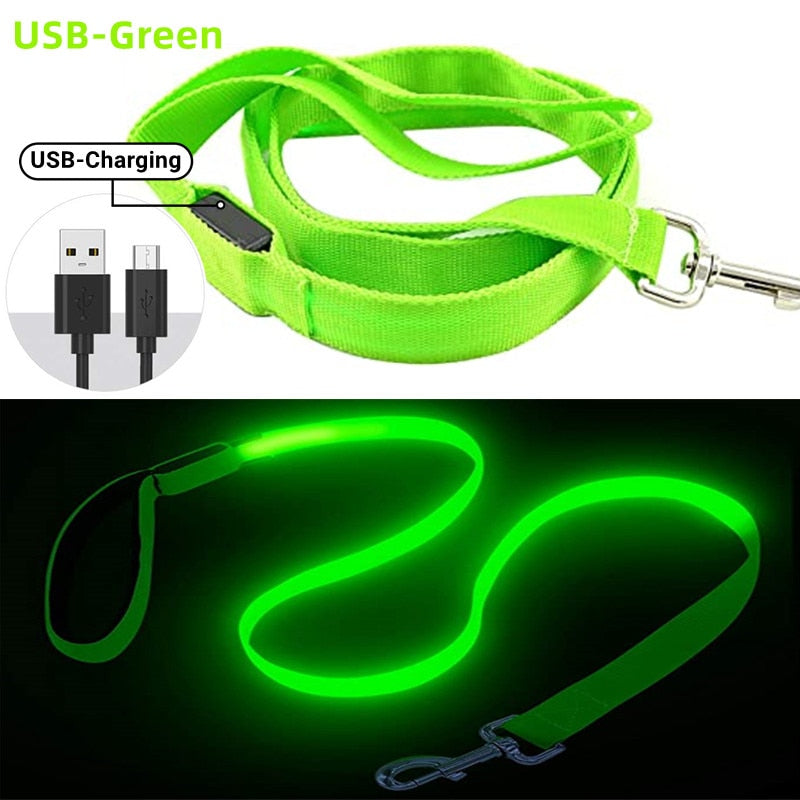 Rechargeable LED Nylon leash