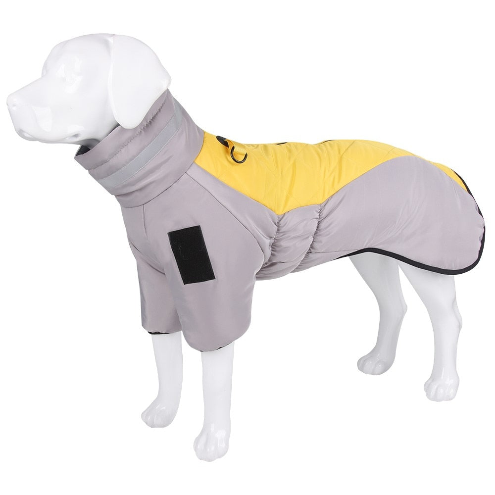 High collar Big Dog winter coat