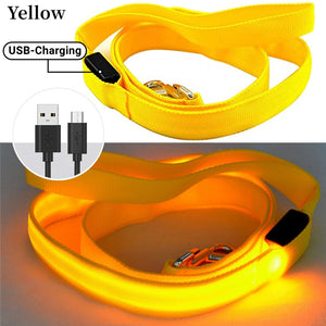 Rechargeable LED Nylon leash