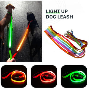 Rechargeable LED Nylon leash