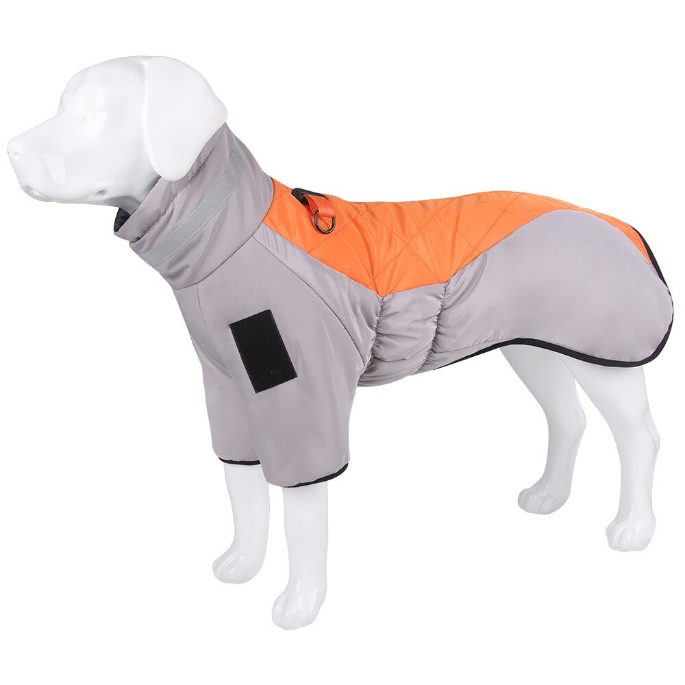 High collar Big Dog winter coat