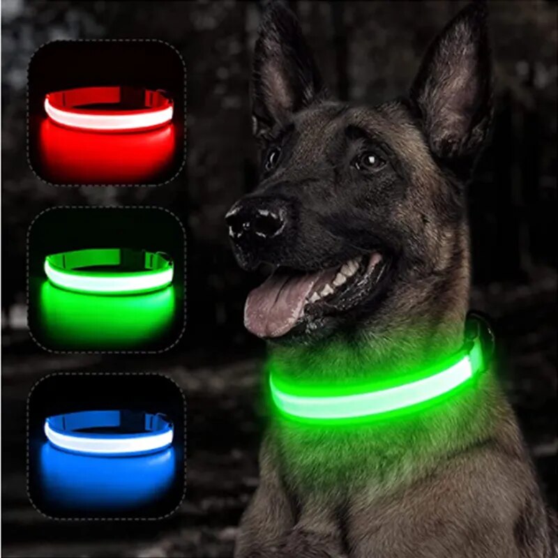 Rechargeable LED collar