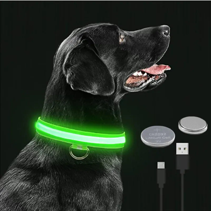 Rechargeable LED collar