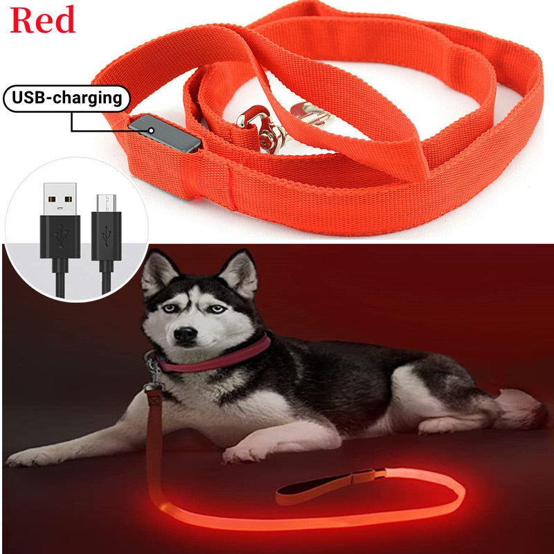 Rechargeable LED Nylon leash