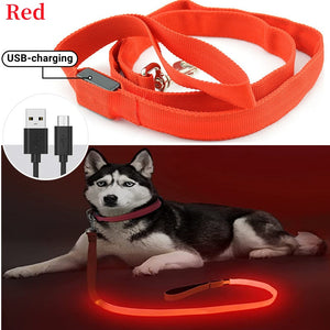 Rechargeable LED Nylon leash