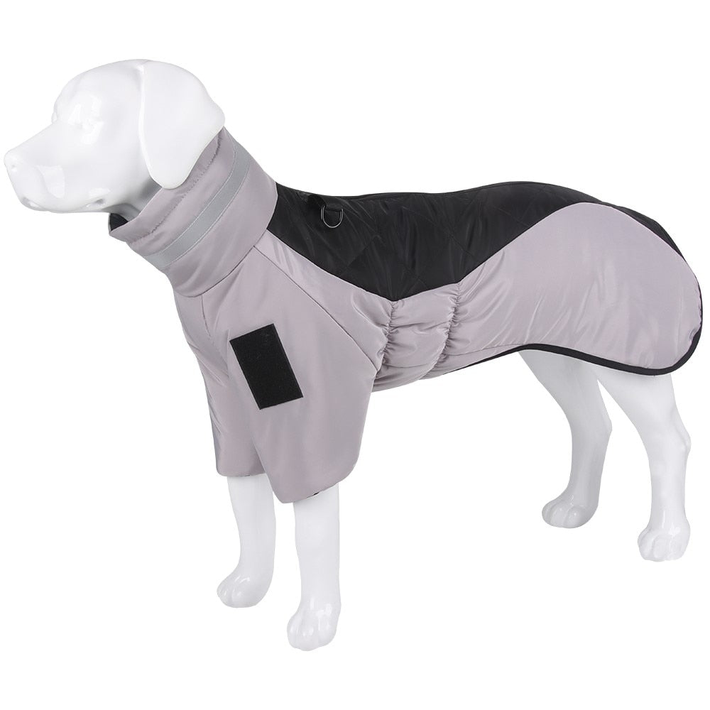 High collar Big Dog winter coat