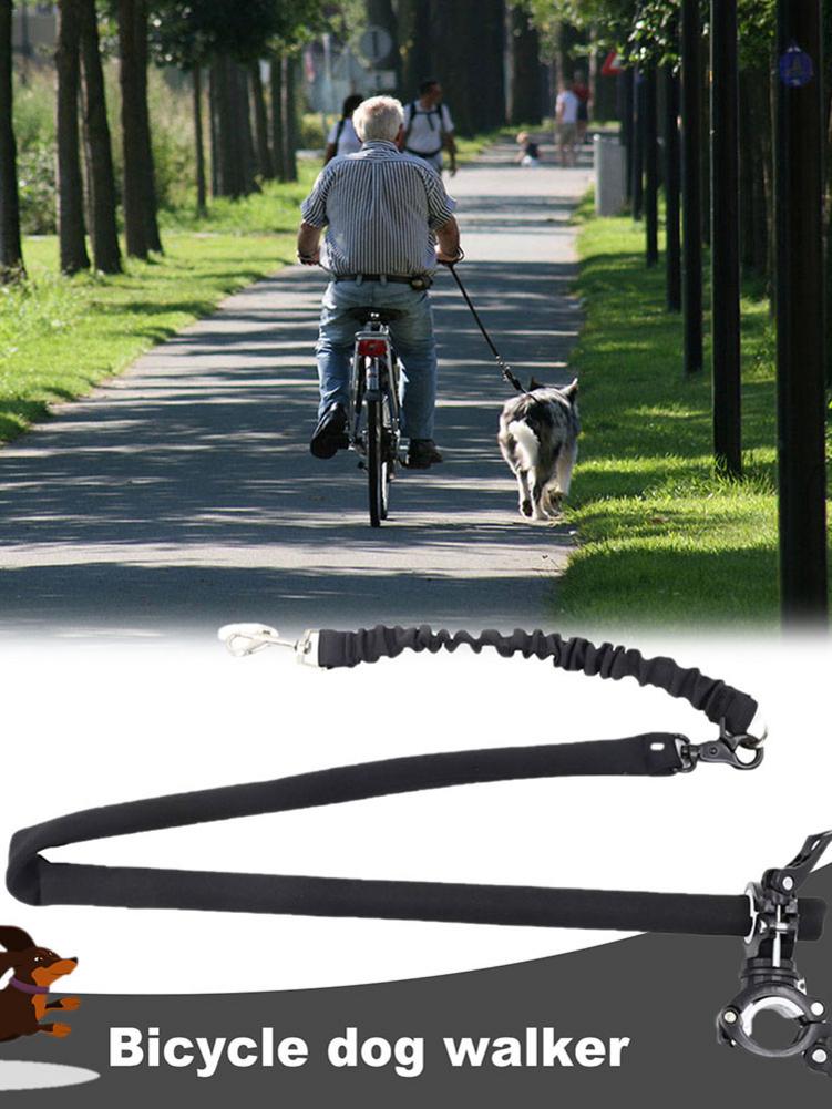 Dog Bicycle Exerciser