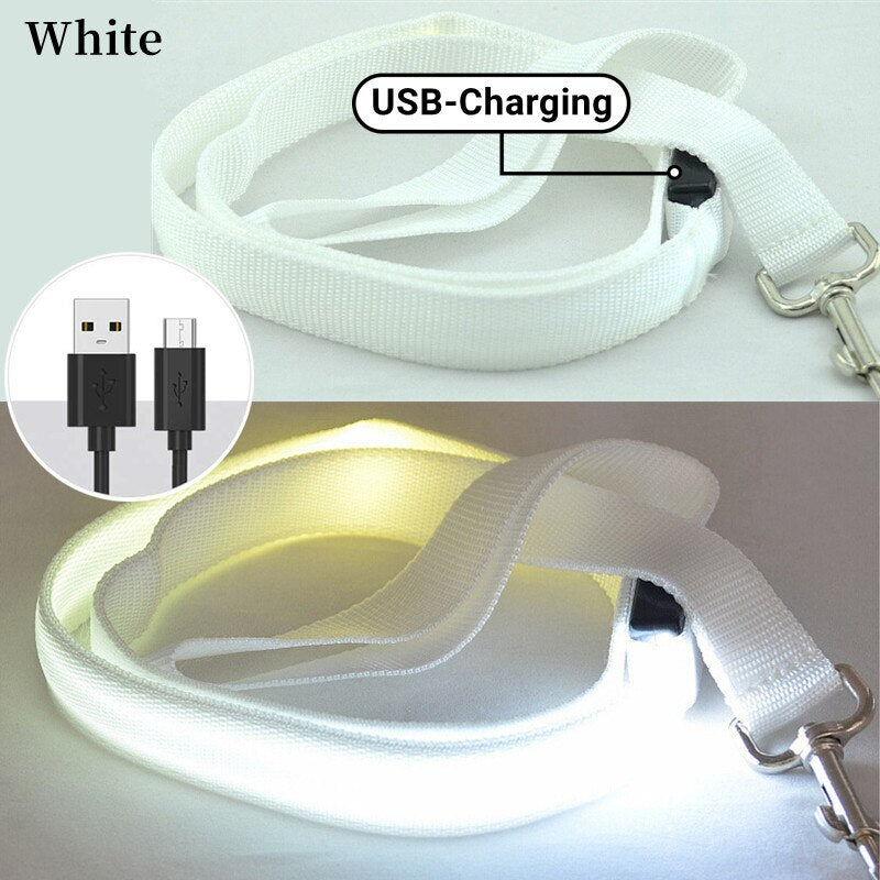 Rechargeable LED Nylon leash