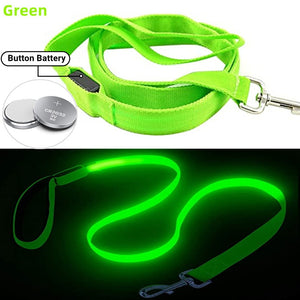 Rechargeable LED Nylon leash