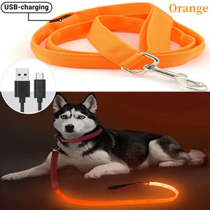 Rechargeable LED Nylon leash