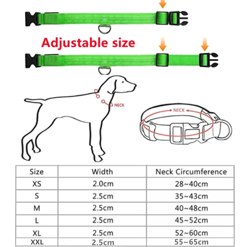 Rechargeable LED collar