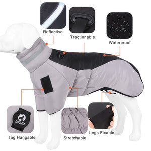 High collar Big Dog winter coat