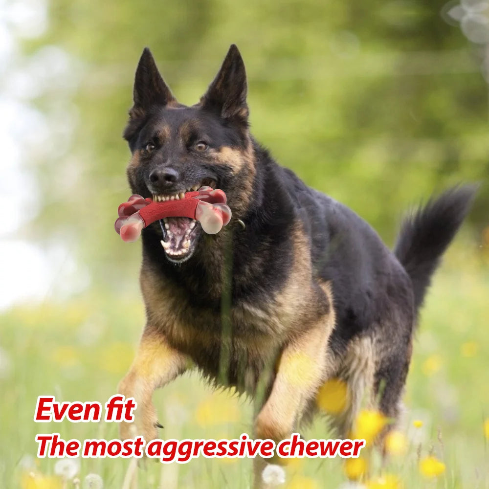 Tough Nylon Bone for Big Dogs