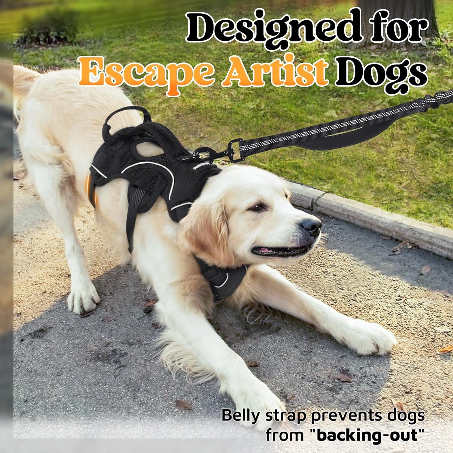 Big Dog Escape Proof Harness