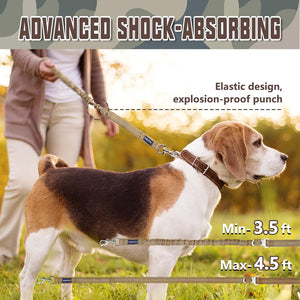Bungee Dog Leash for Shock Absorption 