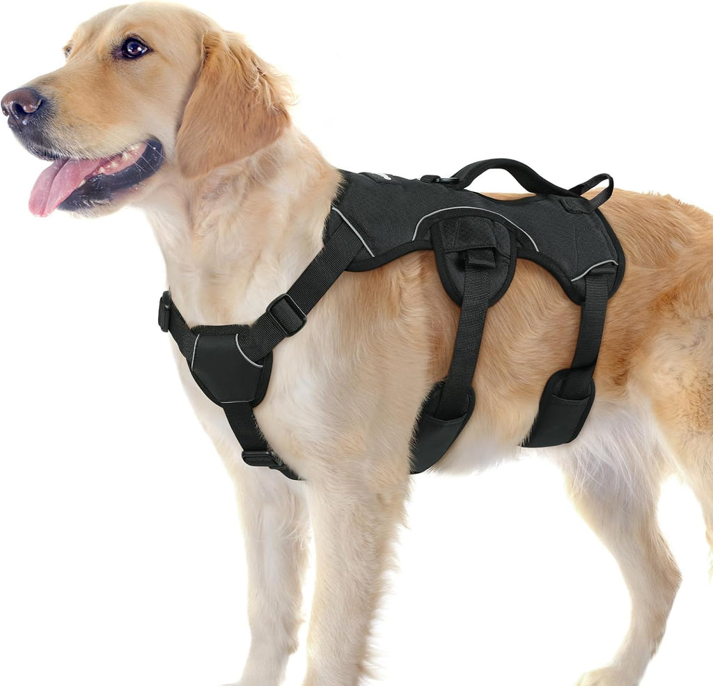 Big Dog Escape Proof Harness
