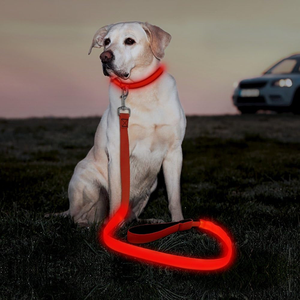LED Dog Leash, 