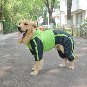 RainRover XL Raincoat for Big Dogs