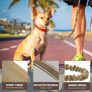 Bungee Dog Leash for Shock Absorption 