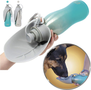 20 OZ Stainless Steel Dog Water Bottle