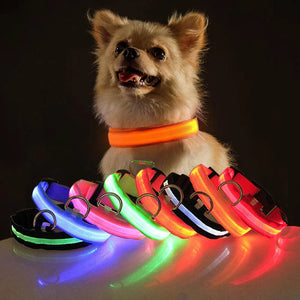 LED Adjustable Dog Collar 