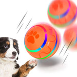 Peppy Pet Interactive Ball