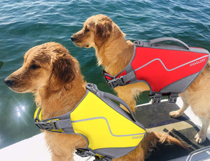 Neoprene Dog Life Jacket 