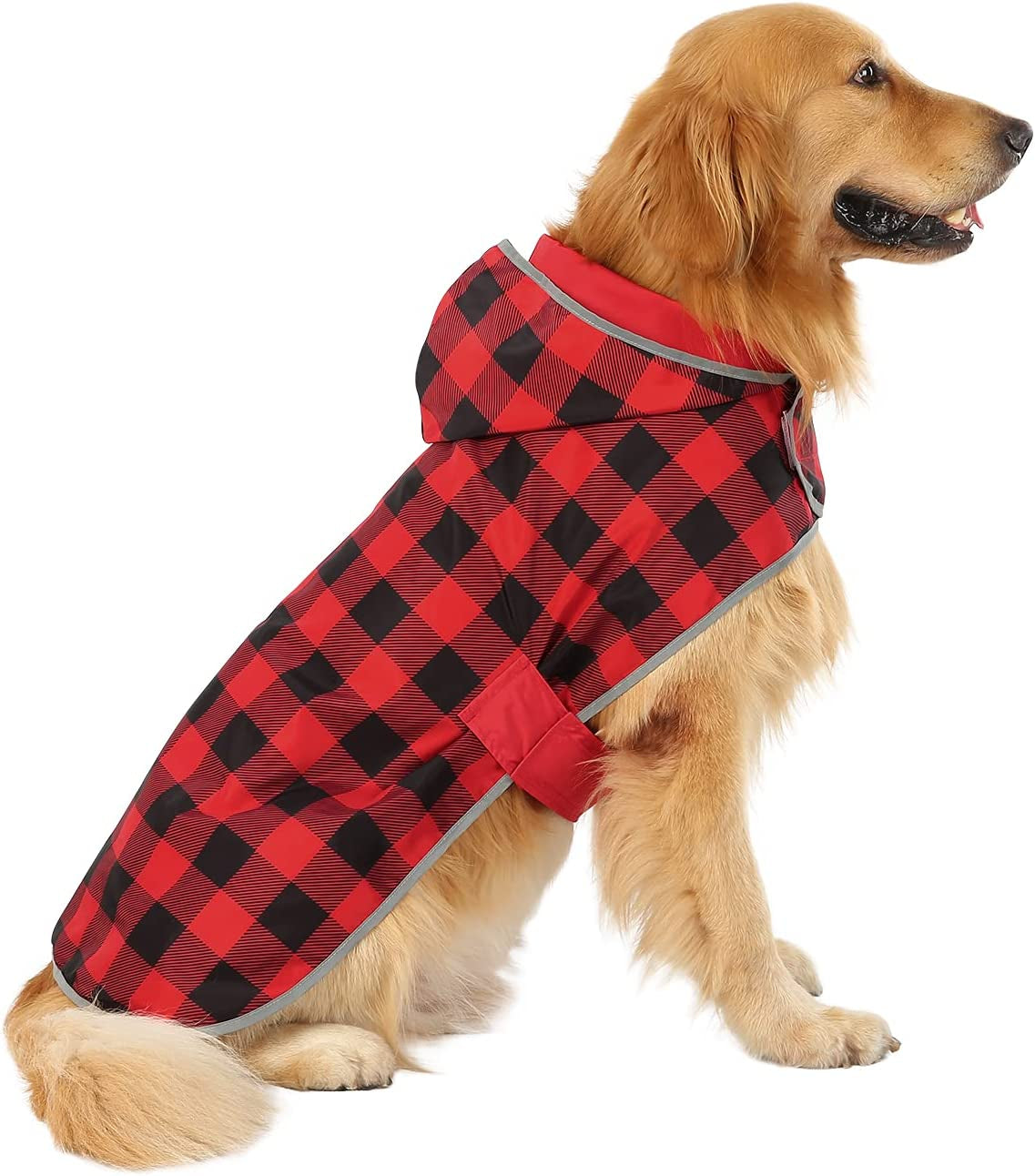 Reversible Hooded Raincoat