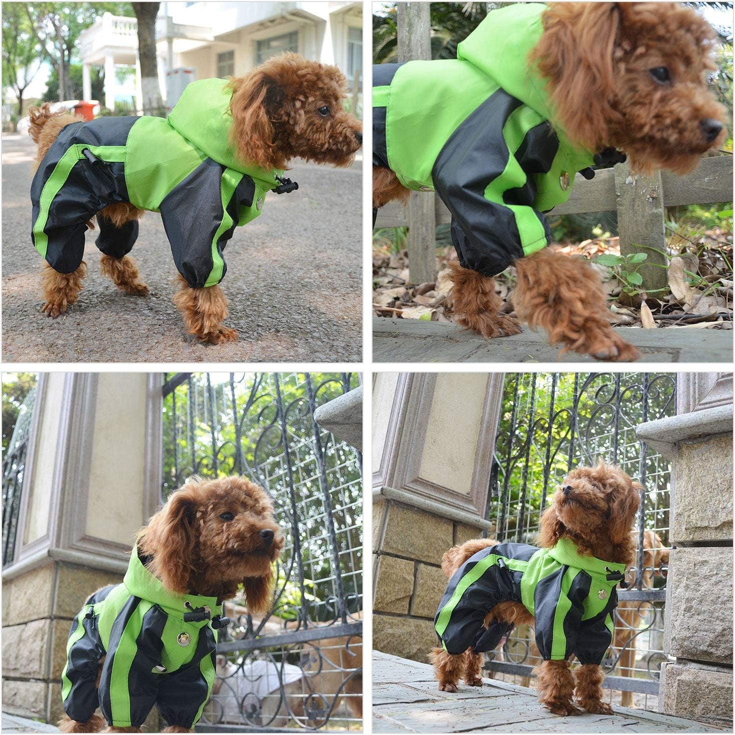 RainRover XL Raincoat for Big Dogs