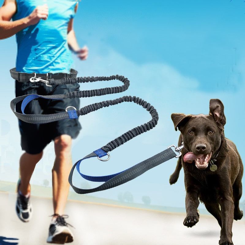 Big Dog Running leash