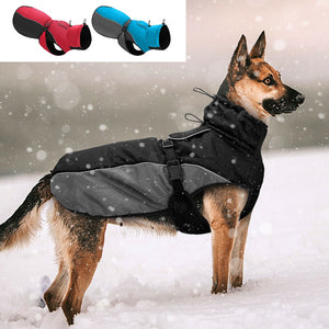 Waterproof Winter jacket