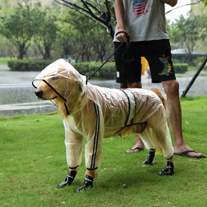 Big Dog transparent rain coat