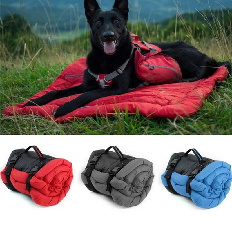 Portable Folding Dog bed