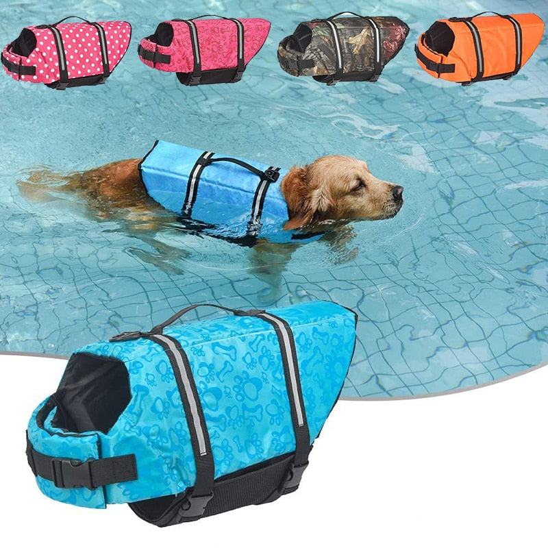 Big Dog Life jacket