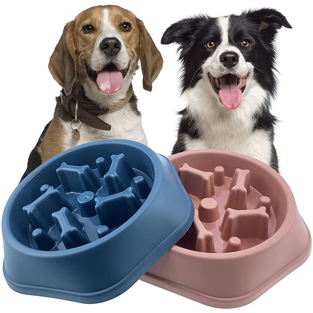 Slow Feed Dog Bowl