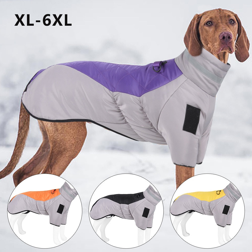 High collar Big Dog winter coat