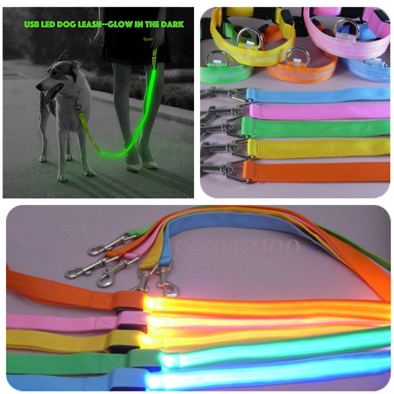 Rechargeable LED Nylon leash