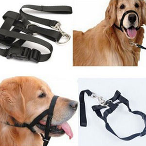 Adjustable Leader Belt Dog Collar No Pull Bite Straps Harness Head Collar Muzzle Dog Halter Training Leash Leader Classic Collar