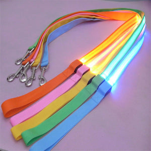 Nylon LED Light Up Dog Leash Night Safety LED Flashing Glow In Dark Dog Collar Pet Supplies Cat Drawing Small Lead LED Dog Leash