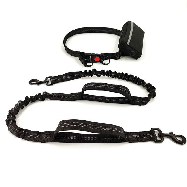 Dogs leash running elasticity handsfree dog leash jogging hands free leash Double handle lead walking Waist Belt bag Reflective