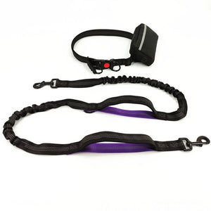 Dogs leash running elasticity handsfree dog leash jogging hands free leash Double handle lead walking Waist Belt bag Reflective