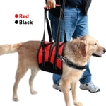 Big Dog Lift Harness