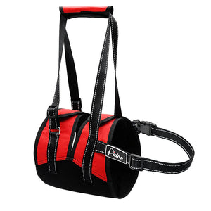 Big Dog Lift Harness